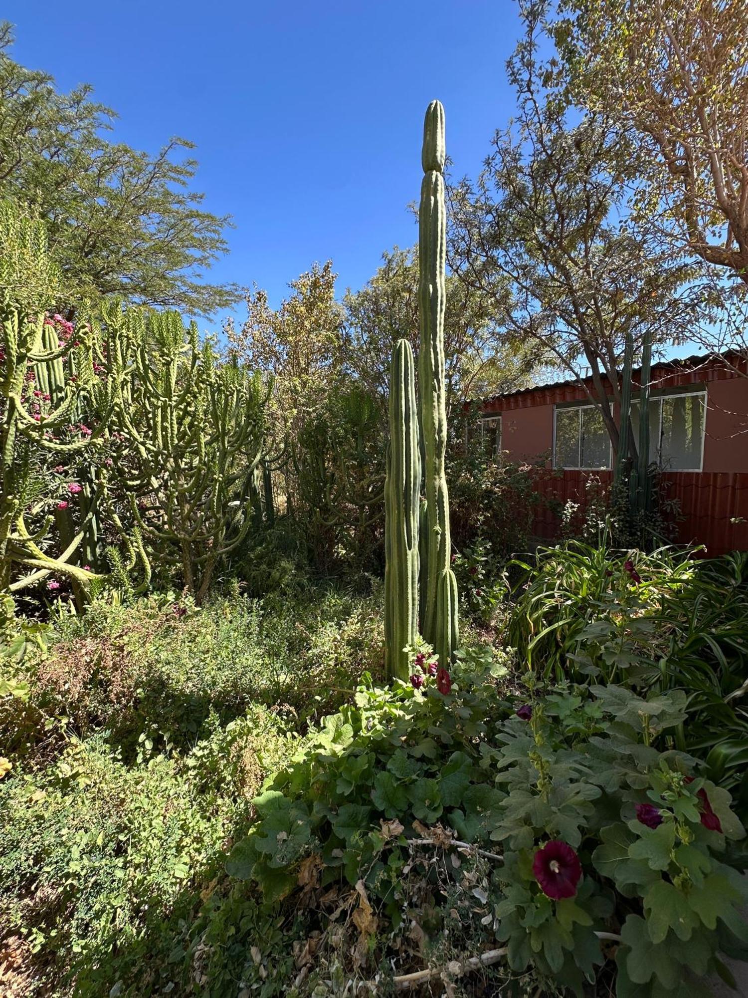 Turisolcor Atacama Apartment Сан Педро де Атакама Екстериор снимка